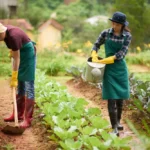 Sustainable Agriculture Economics Explained