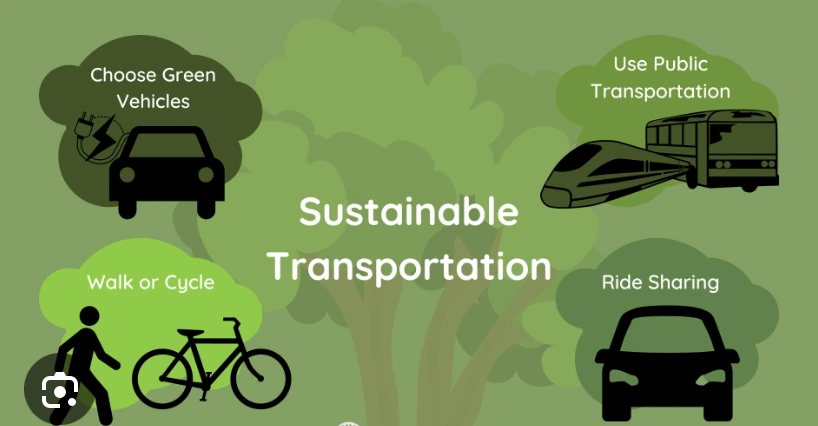 Choosing Sustainable Vehicles