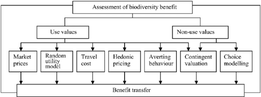 Economic Value Of Biodiversity Today