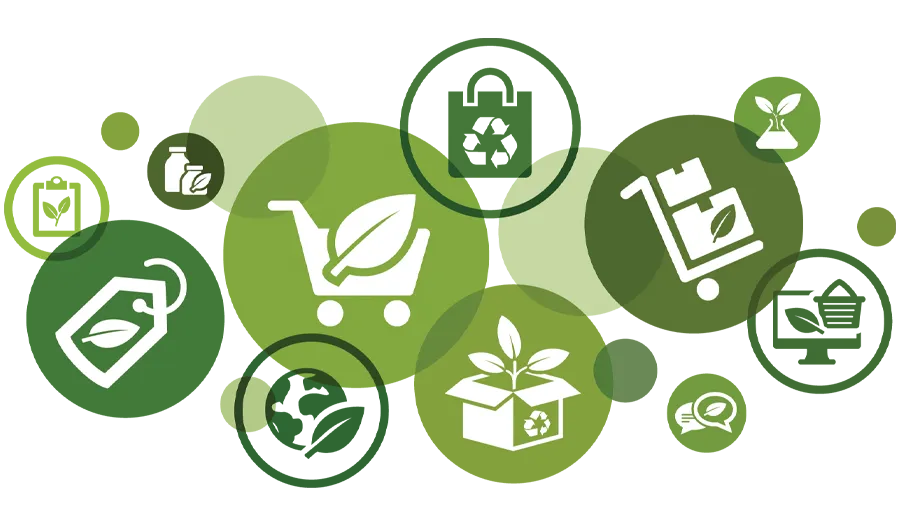 Sustainable Supply Chain Strategies Today